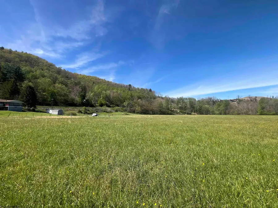 TBD Cheat Valley Highway, Parsons, WV 26287 - #3