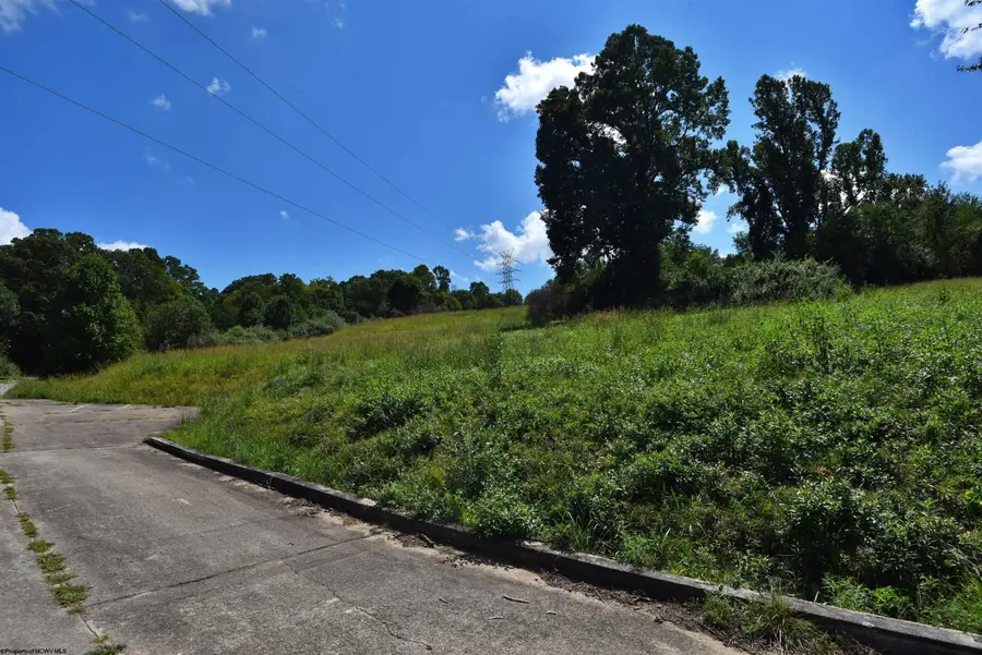 Lot 44 Carlson Drive, Grafton, WV 26354 - #3