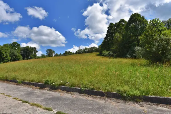 Lot 48 Birch Street, Grafton, WV 26354