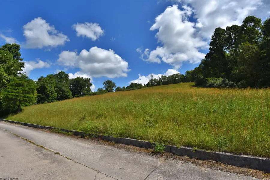 Lot 49 Birch Street, Grafton, WV 26354 - #3