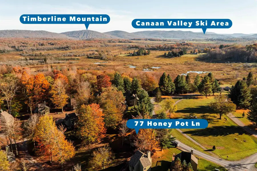 77 Honey Pot Lane, Davis, WV 26260 - #3