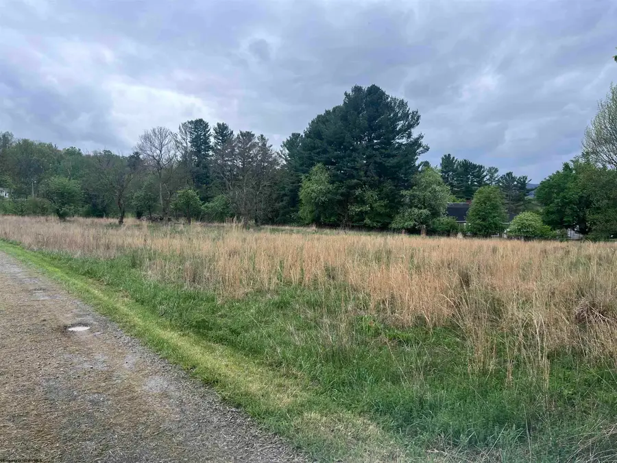 TBD Chenoweth Creek Road, Elkins, WV 26241 - #3