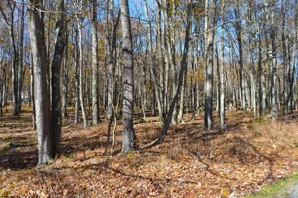 181 E Alpine Drive, Terra Alta, WV 26764