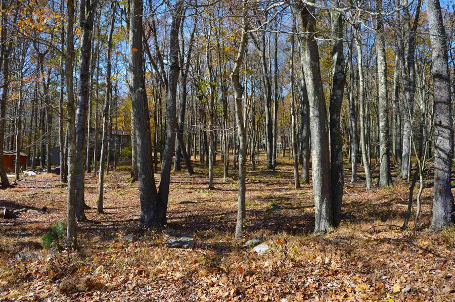 181 E Alpine Drive, Terra Alta, WV 26764 - #3