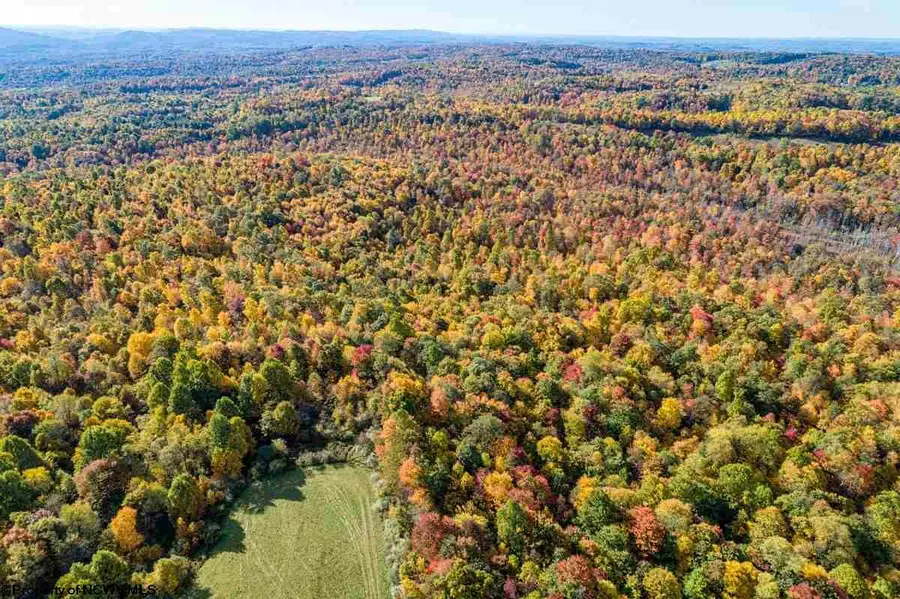17688 Veterans Memorial Highway, Kingwood, WV 26537 - #3