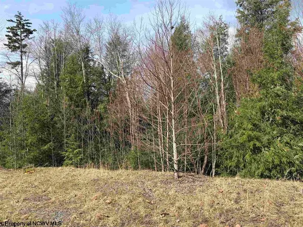 Lot 77 Bassilla Way, Davis, WV 26260