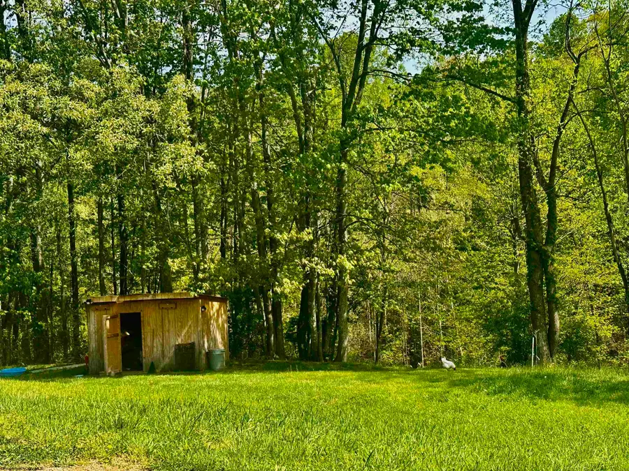 12194 Route 20 South Road, Rock Cave, WV 26234 - #3