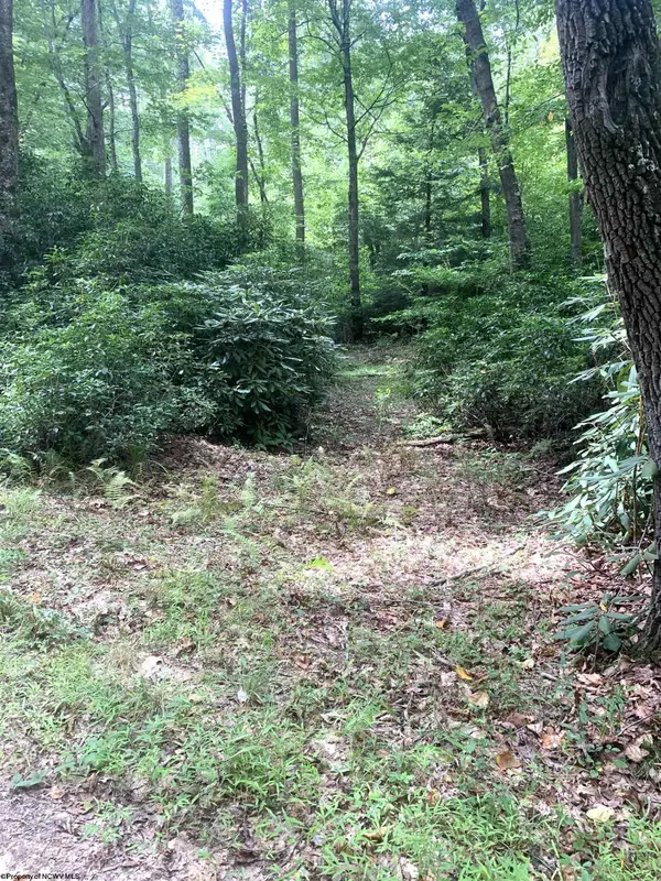 3311 Hanging Run Road, Belington, WV 26250