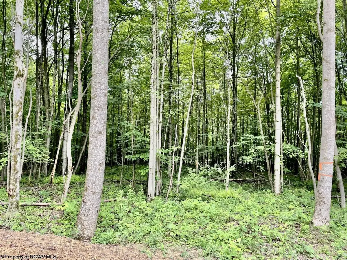 4 Holleran Heights, Kingwood, WV 26519 - #1