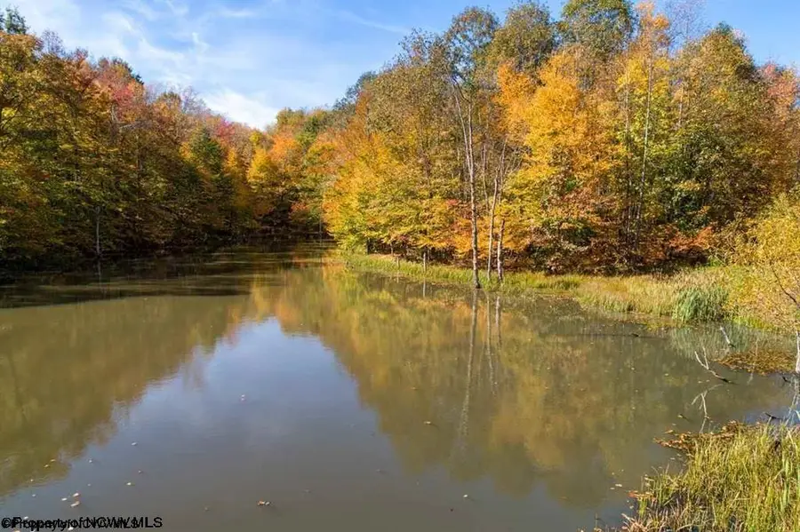 4 Holleran Heights, Kingwood, WV 26519 - #2
