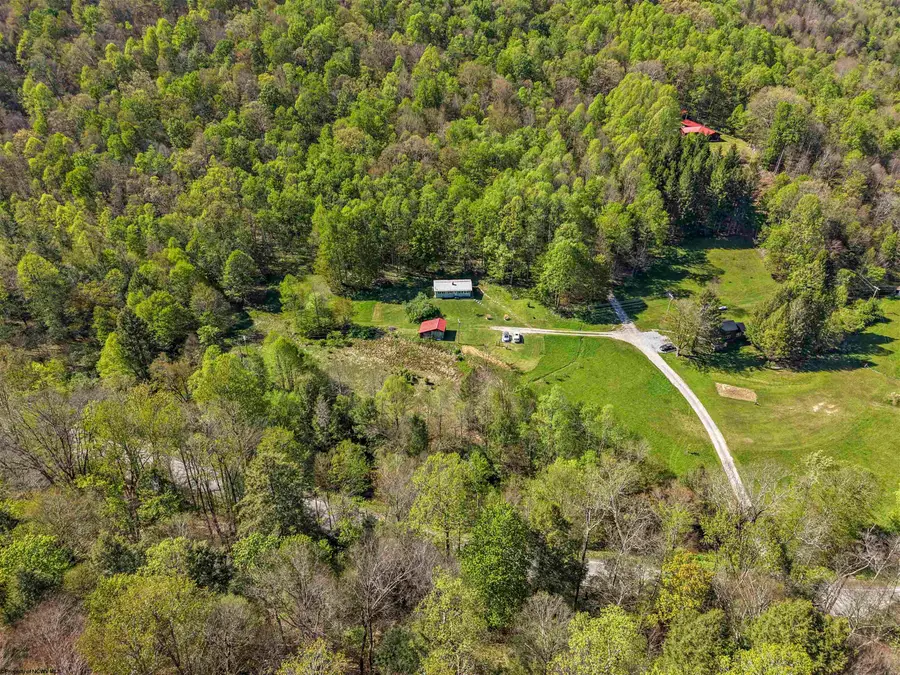 61 Smith Bridge Road, Helvetia, WV 26224 - #3
