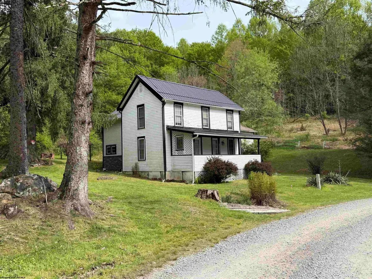 2494 Seng Run Road, French Creek, WV 26218 - #1