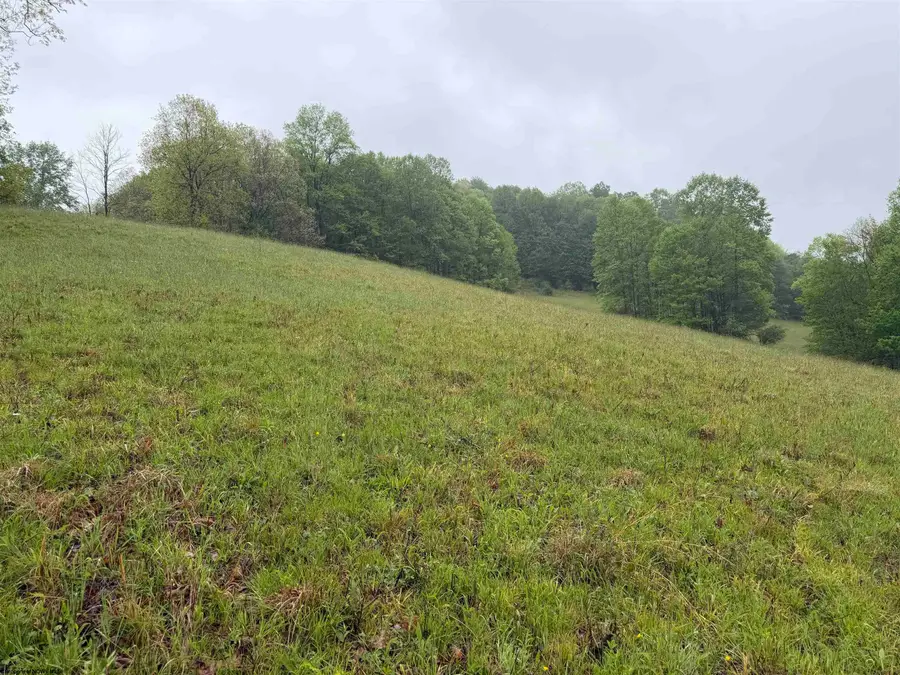 TBD Old Elkins Road, Buckhannon, WV 26201 - #3