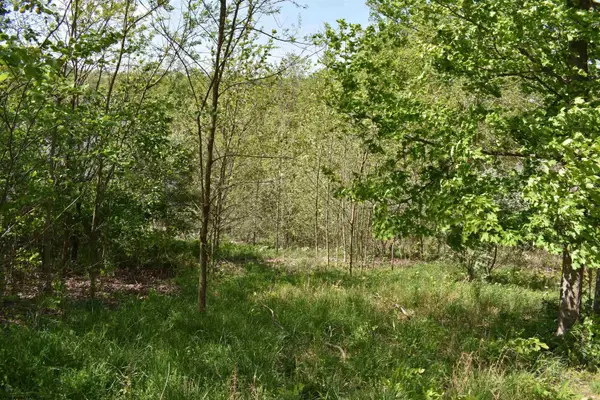 Lot 54 Sanctuary Cove, Morgantown, WV 26508
