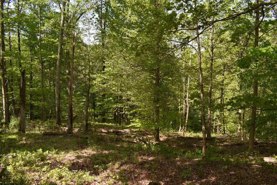 Lot 54 Sanctuary Cove, Morgantown, WV 26508 - #2