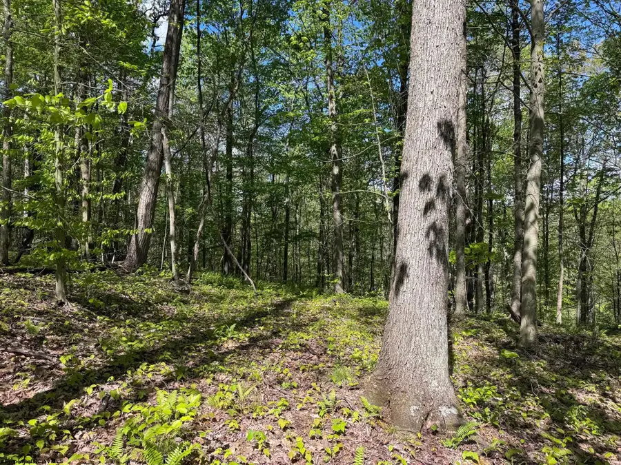 Lot 1 Manion Road, Folsom, WV 26348 - #2