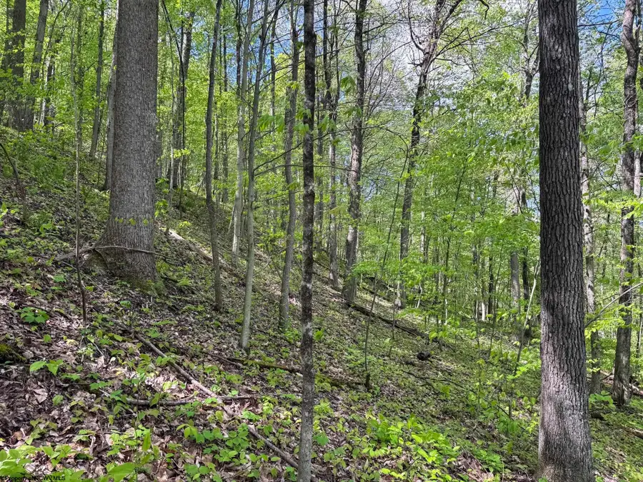 Lot 1 Manion Road, Folsom, WV 26348 - #3