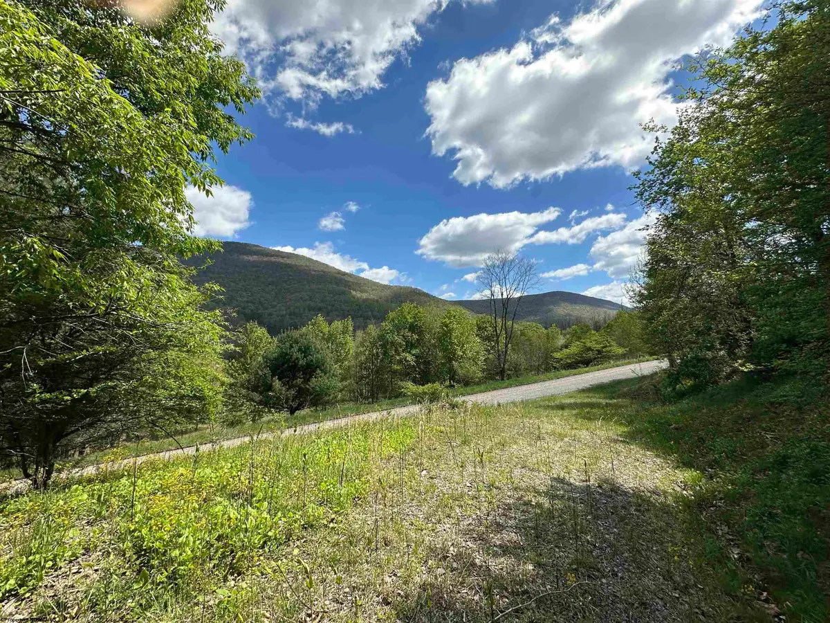 Lot 2 Flat Rock Run, Dryfork, WV 26263 - #1