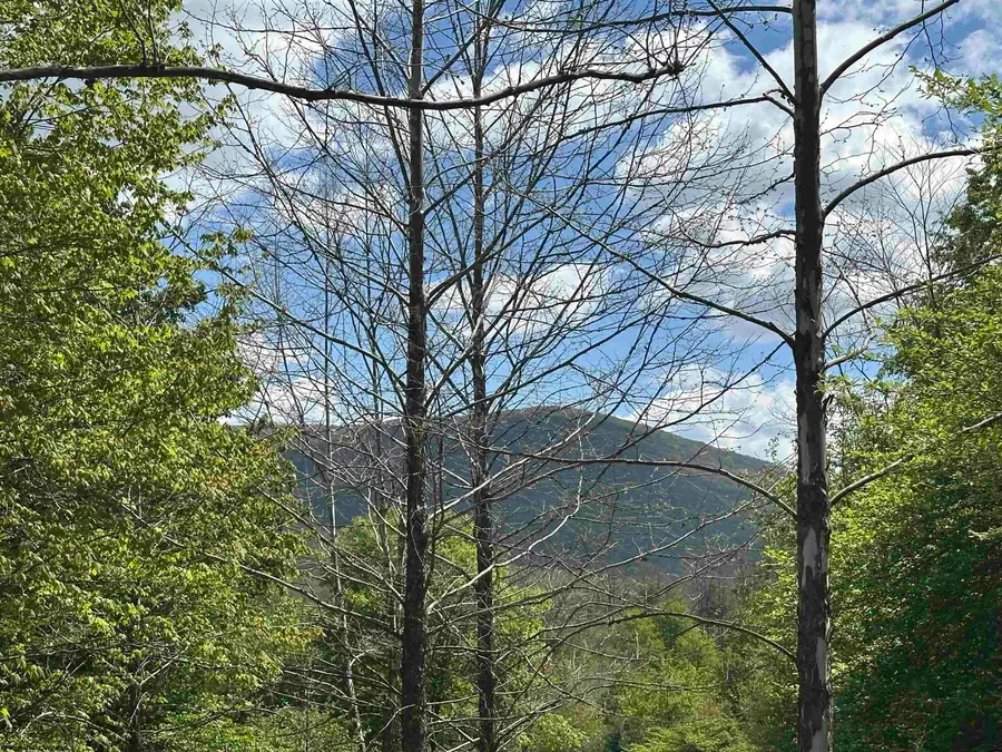 Lot 2 Flat Rock Run, Dryfork, WV 26263 - #2