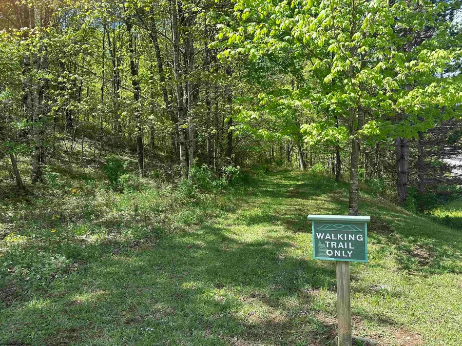 Lot 2 Flat Rock Run, Dryfork, WV 26263 - #3