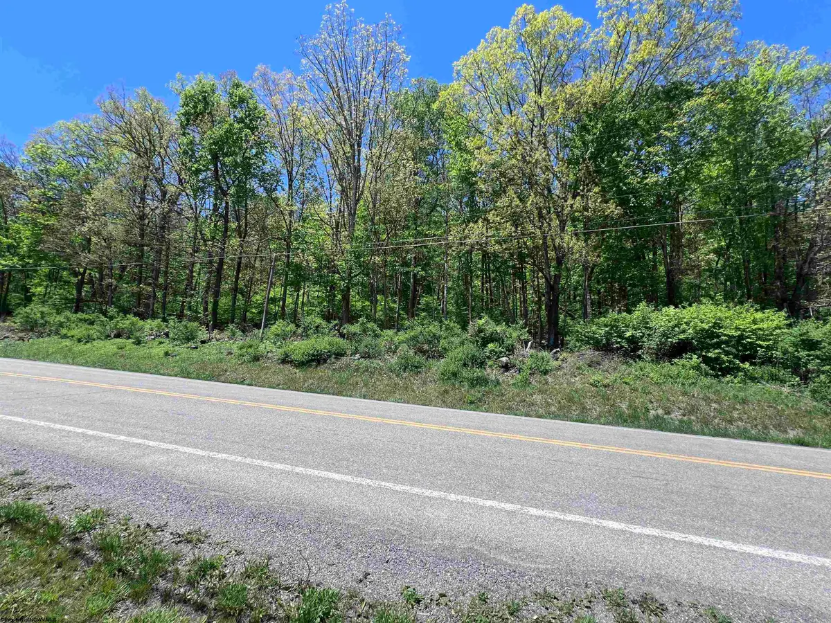 TBD Rt. 219 Highway, Valley Bend, WV 26293 - #1