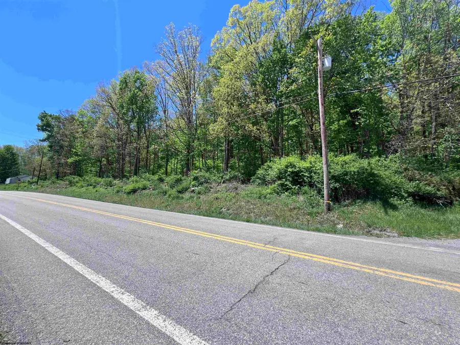 TBD Rt. 219 Highway, Valley Bend, WV 26293 - #3