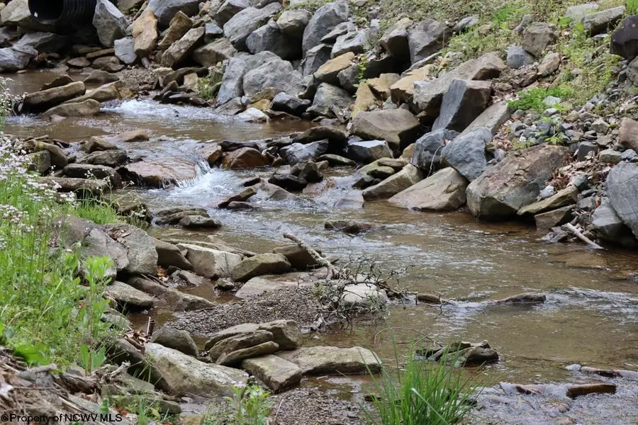 965 Evans Run Road, Elkins, WV 26241 - #3