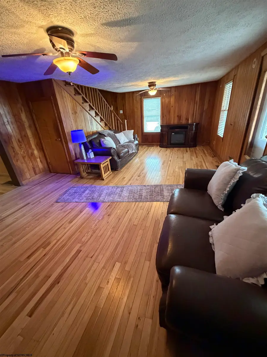 181 Conrad Street, Mill Creek, WV 26280 - #2