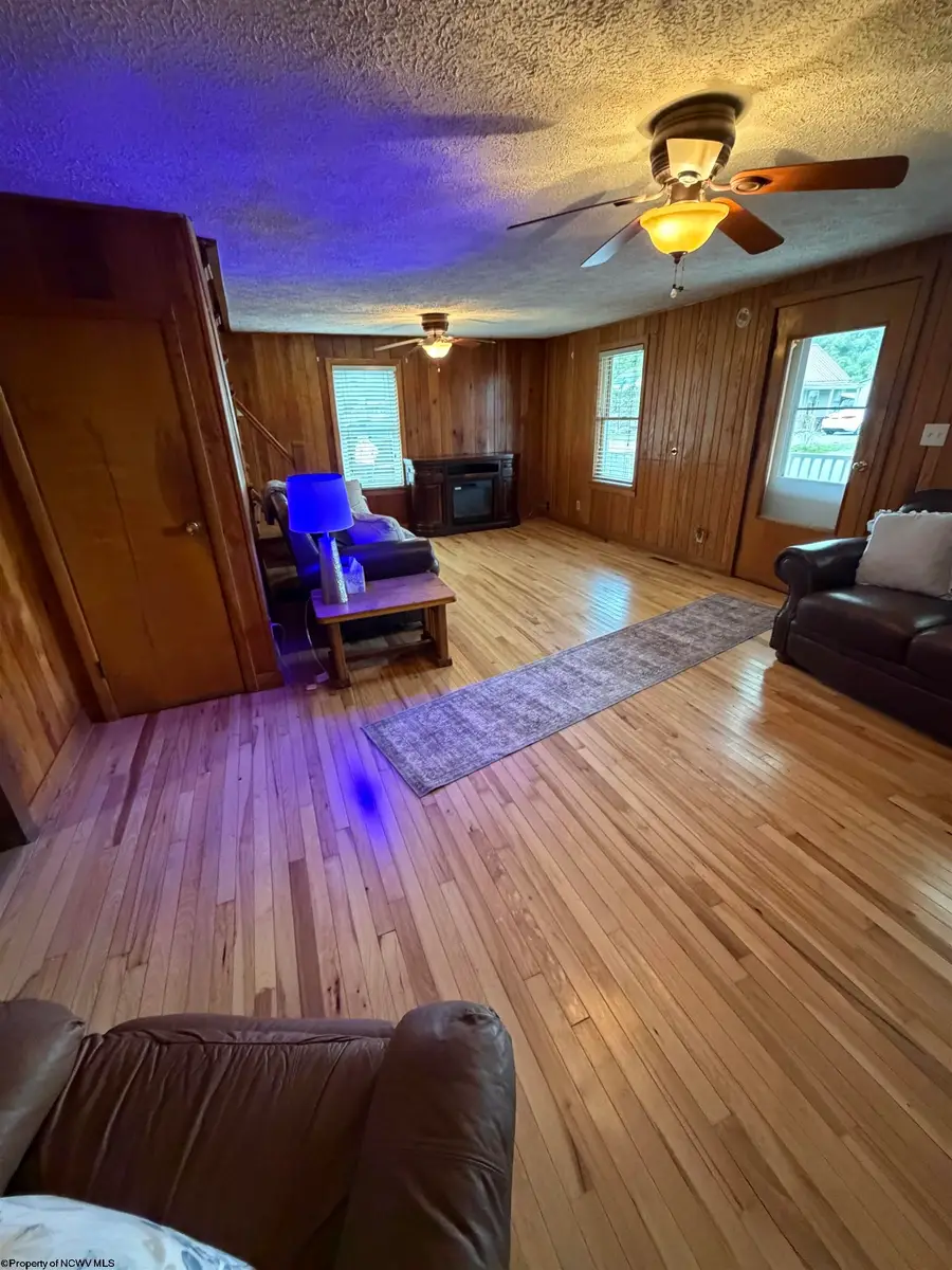 181 Conrad Street, Mill Creek, WV 26280 - #3