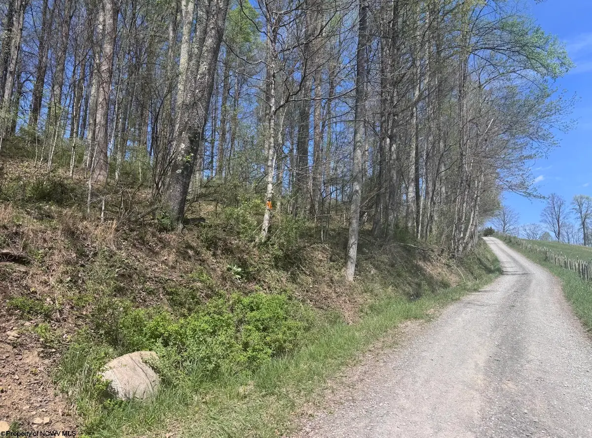 Lot 1 White Road, Moatsville, WV 26405 - #1