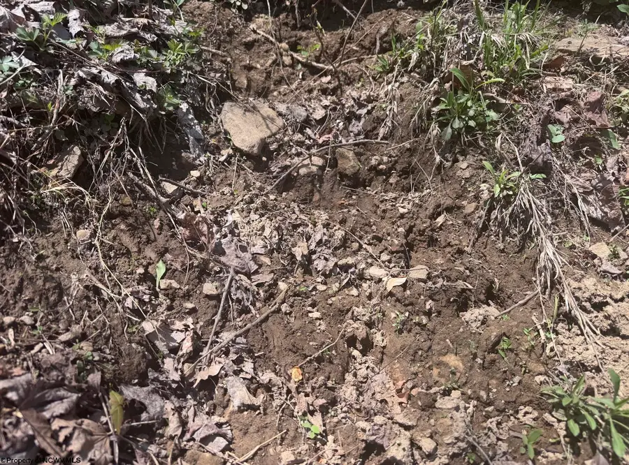 Lot 1 White Road, Moatsville, WV 26405 - #2