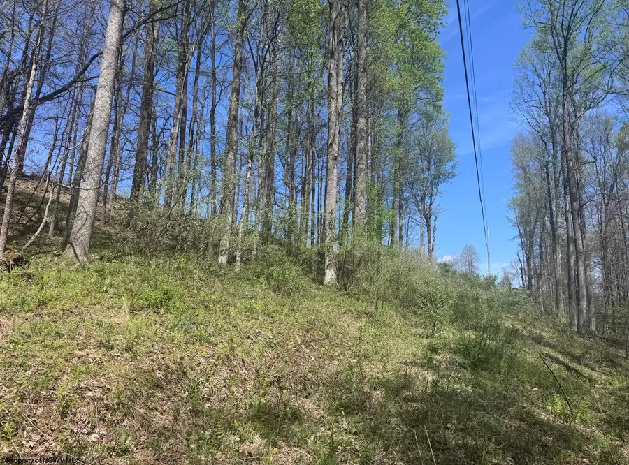 Lot 1 White Road, Moatsville, WV 26405 - #3