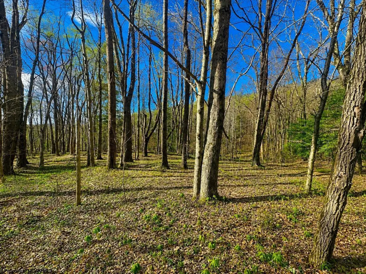 TBD Bobolink Drive, Terra Alta, WV 26764 - #1