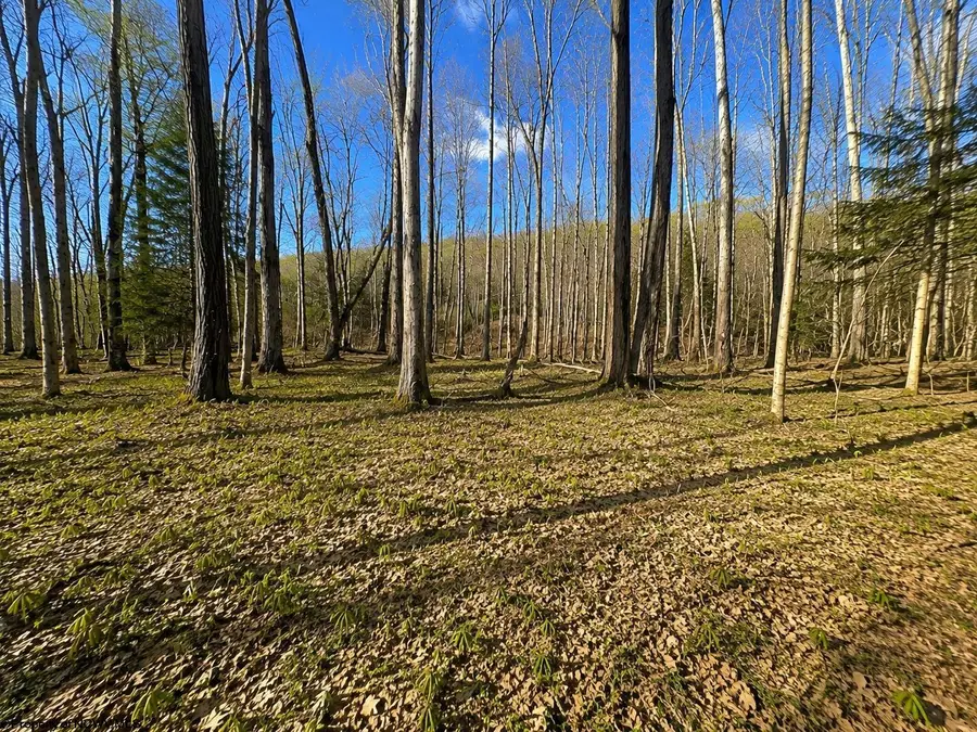 TBD Bobolink Drive, Terra Alta, WV 26764 - #2
