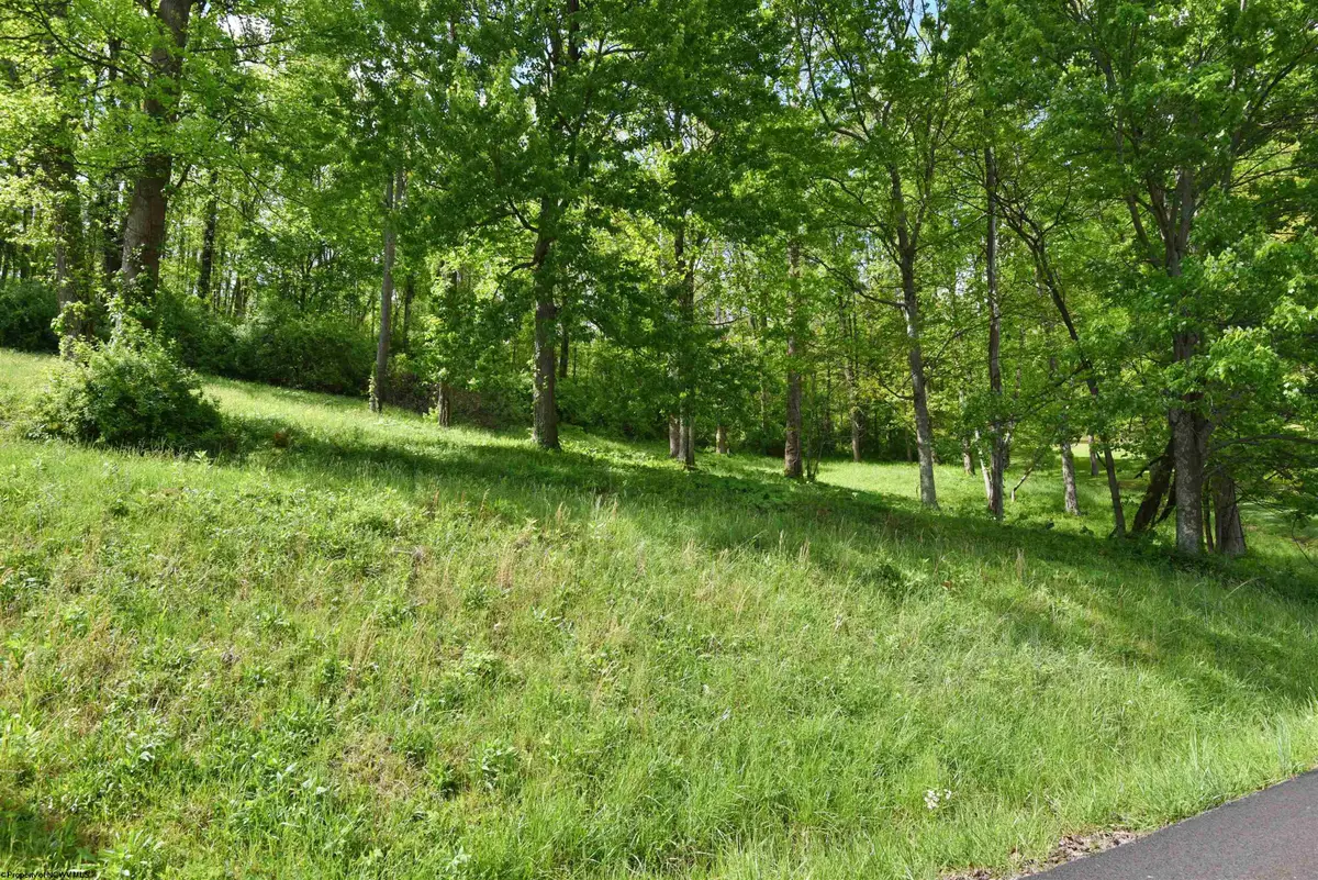 Lot 17 Diamond Cove, Bridgeport, WV 26330 - #1