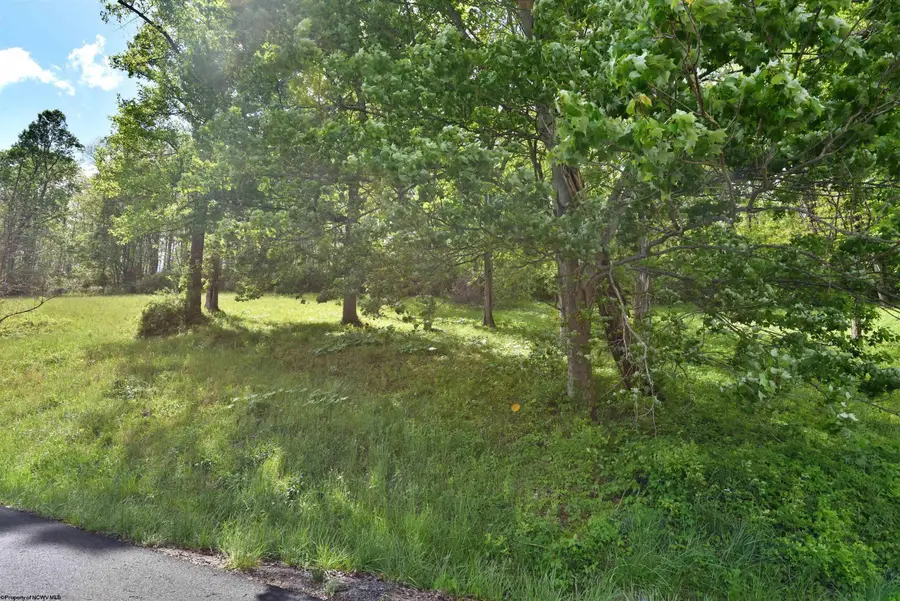 Lot 17 Diamond Cove, Bridgeport, WV 26330 - #3