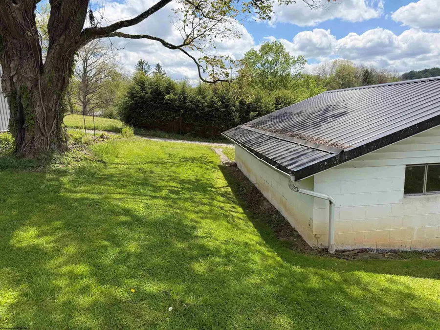 88 Curtis Lane, Belington, WV 26250 - #3