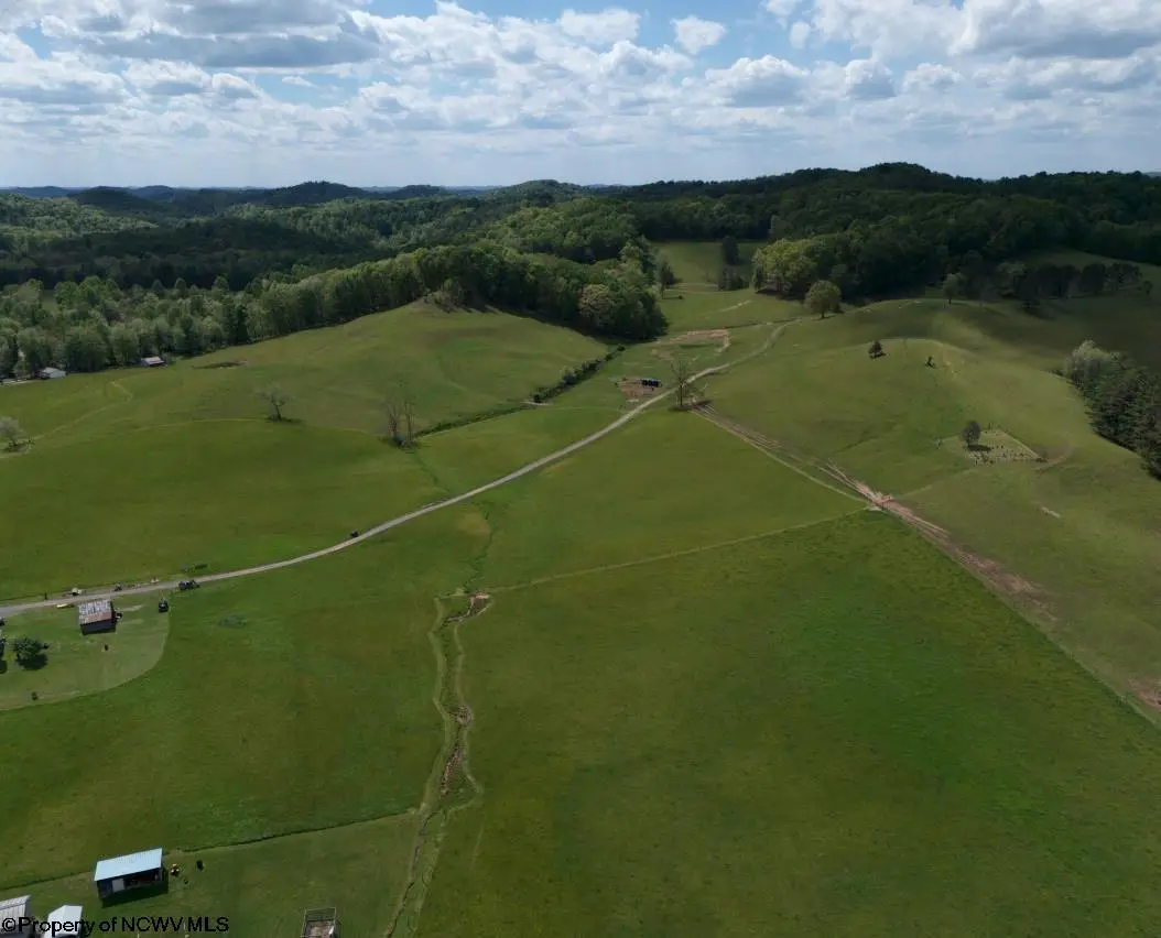 9506 Route 20 South Road, French Creek, WV 26218 - #1