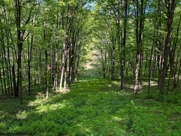 975 Whiteman Run Road, Philippi, WV 26416