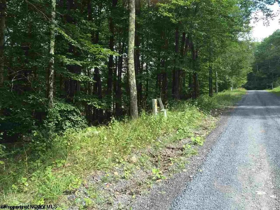 99 Fern Lane, Davis, WV 26260 - #2