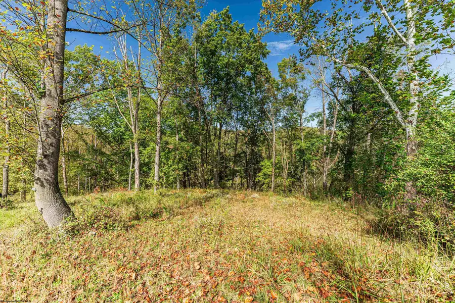 118 Marco Polo Drive, Morgantown, WV 26508 - #3