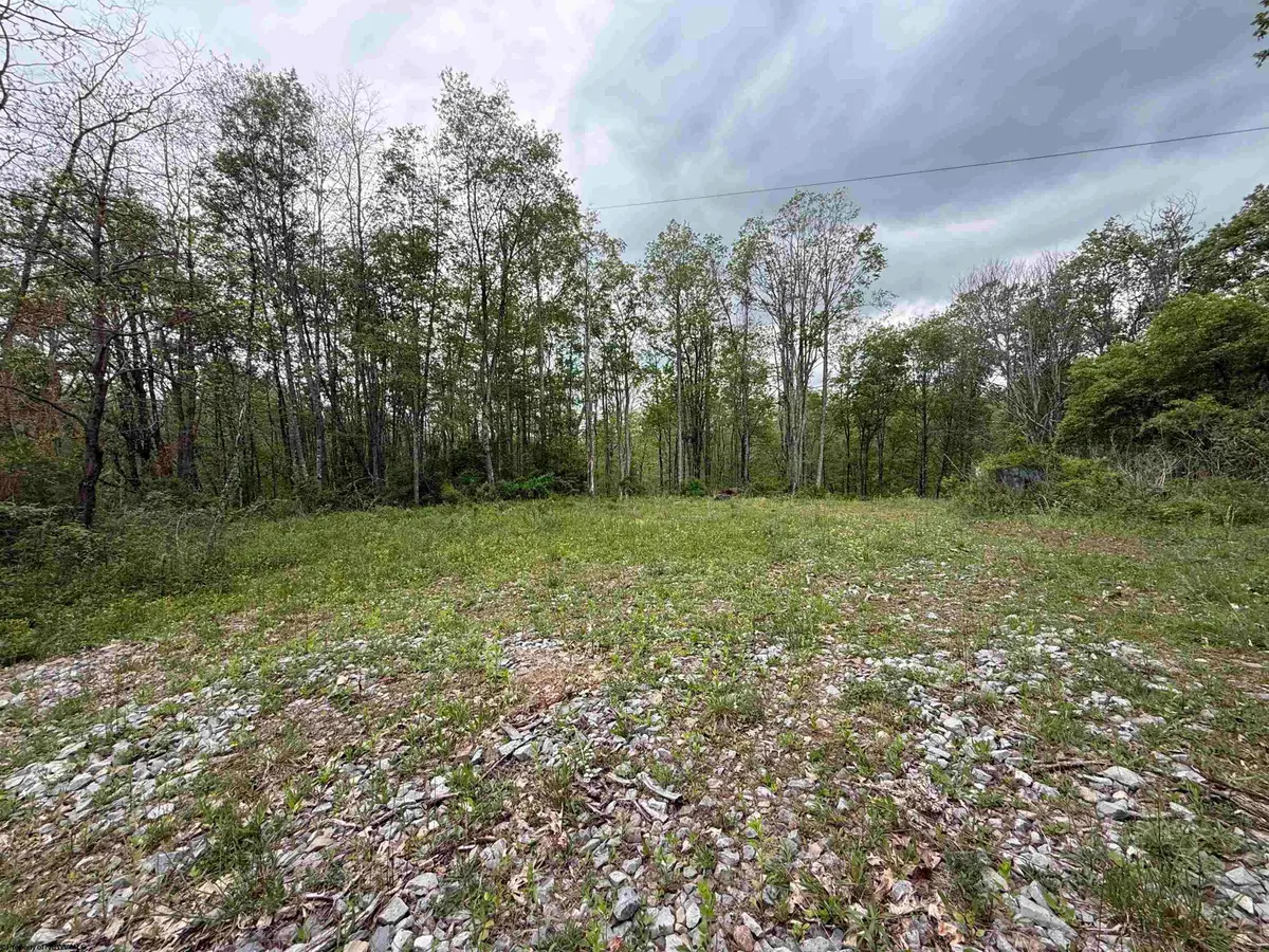 1154 Brady Gate Road, Valley Head, WV 26294 - #1