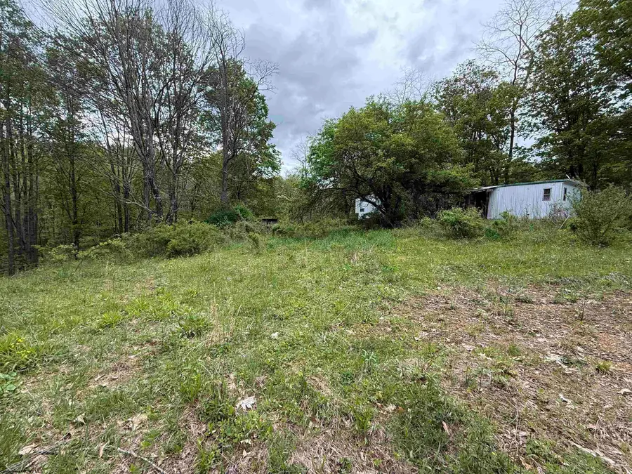 1154 Brady Gate Road, Valley Head, WV 26294 - #2