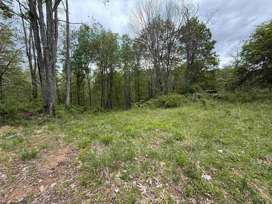 1154 Brady Gate Road, Valley Head, WV 26294 - #3