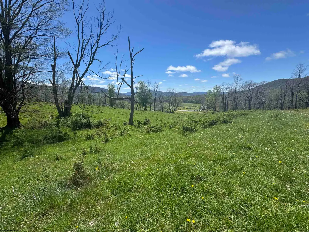 100 Miller Farm Lane, Dryfork, WV 26263-2626 - #1