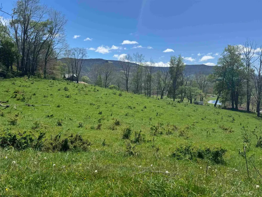 100 Miller Farm Lane, Dryfork, WV 26263-2626 - #2