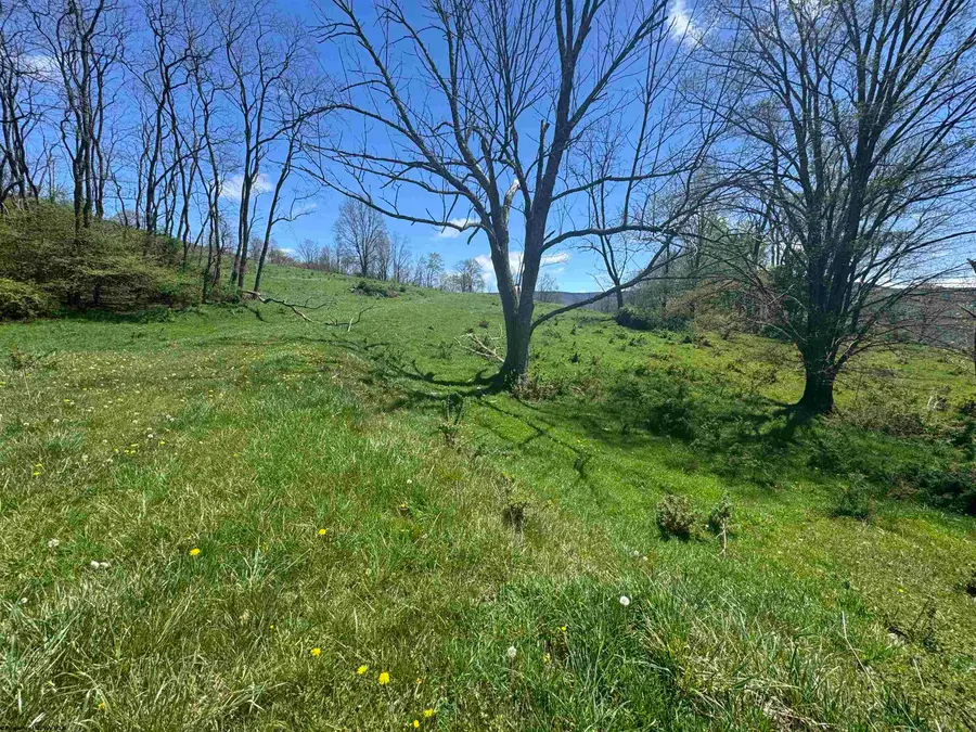 100 Miller Farm Lane, Dryfork, WV 26263-2626 - #3