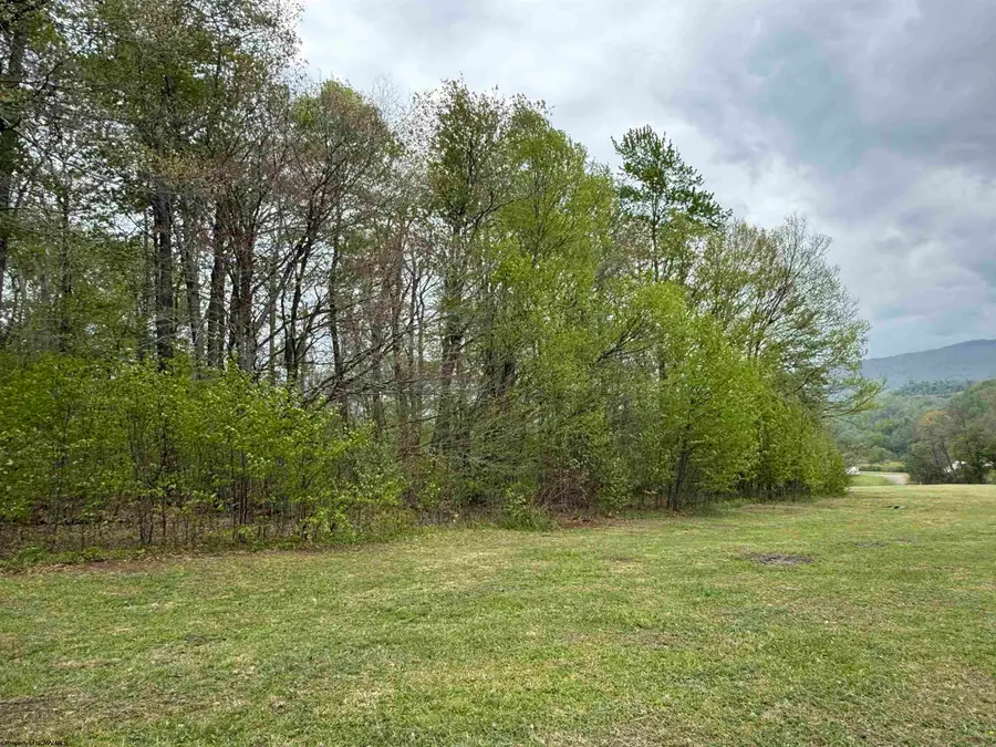 0 Route 15 (RR), Valley Head, WV 26294 - #2