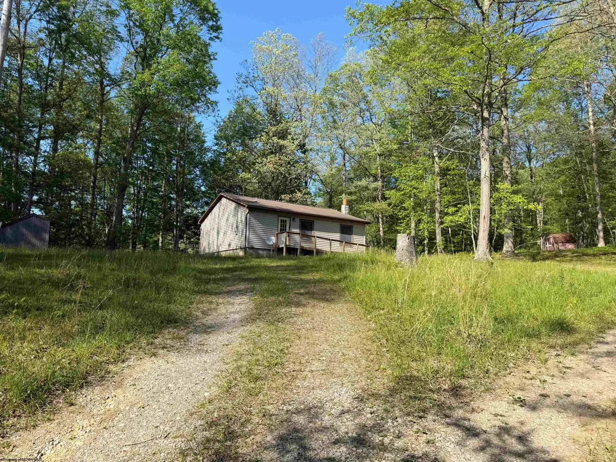 10518 Morgantown Pike, Philippi, WV 26416 - #1
