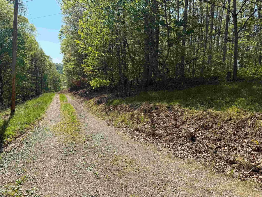 10518 Morgantown Pike, Philippi, WV 26416 - #3